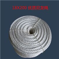 網住千般力，牽起萬縷金——晉州市長纓繩網線帶廠網絡線產品全面上線